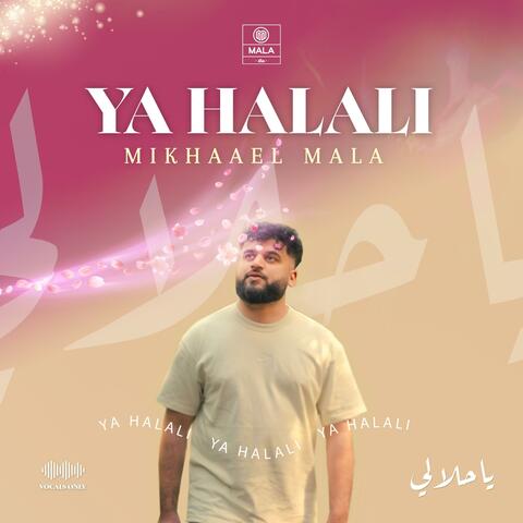 Ya Halali (Vocals Only Wedding Nasheed) album art