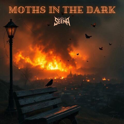 Moths In The Dark album art