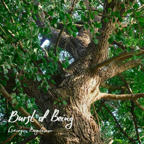 Burst of Being album art