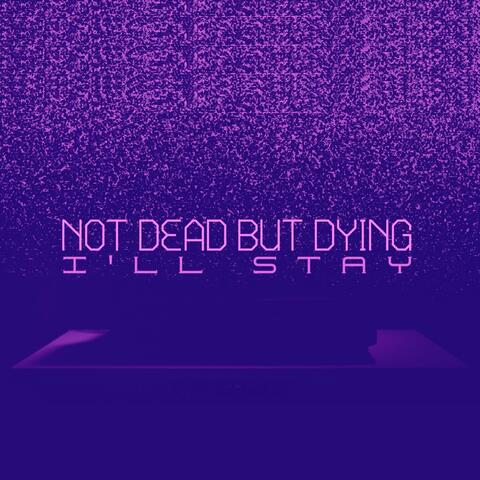 I'll Stay album art