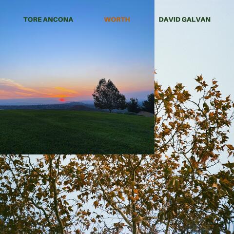 Worth album art