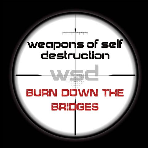 Burn Down the Bridges album art