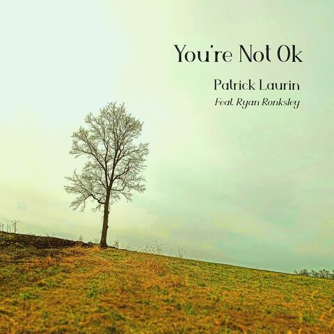 You're Not Ok album art