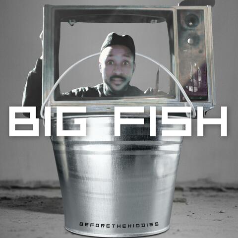 Big Fish album art