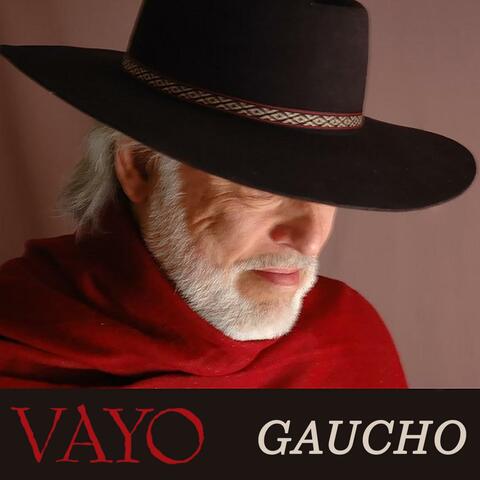 Gaucho album art