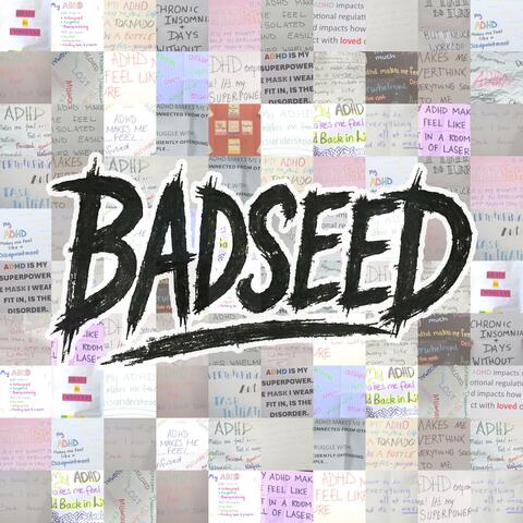 Badseed album art