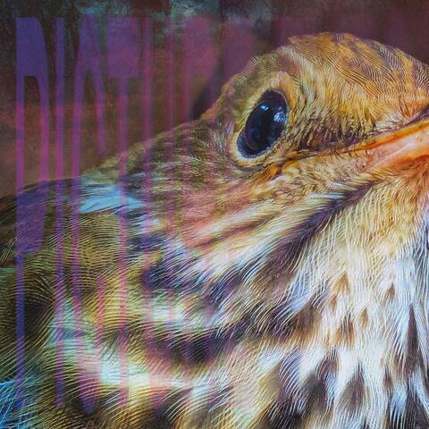 Picture Eyes album art