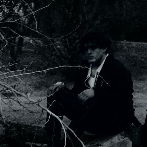 Theres a face in my celing album art