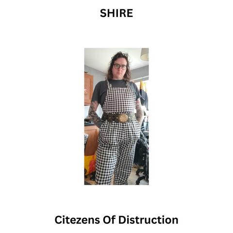Citezens Of Distruction album art