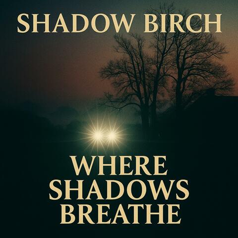 Where Shadows Breathe album art