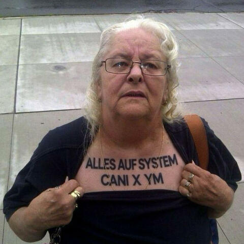 Alles auf System album art