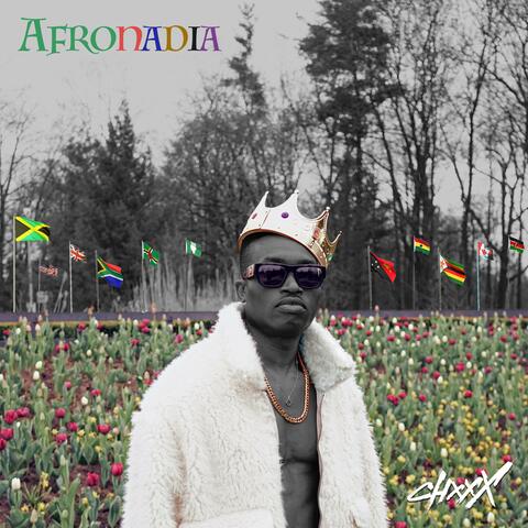 Afronadia album art