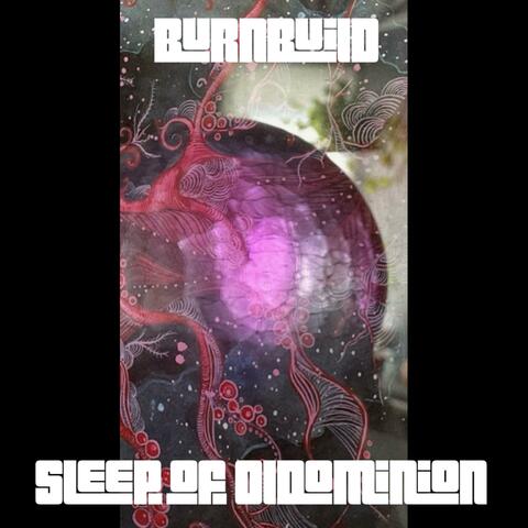 BurnBuild album art