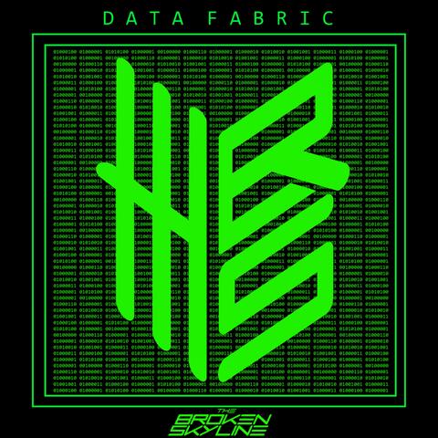 Data Fabric album art