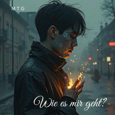 Wie es mir geht album art