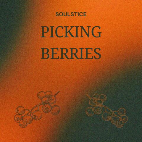Picking Berries album art