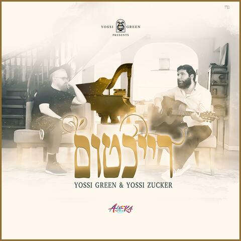 Reichtum (feat. Yossi Zucker) album art