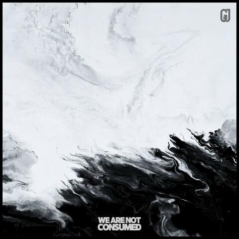 We Are Not Consumed album art