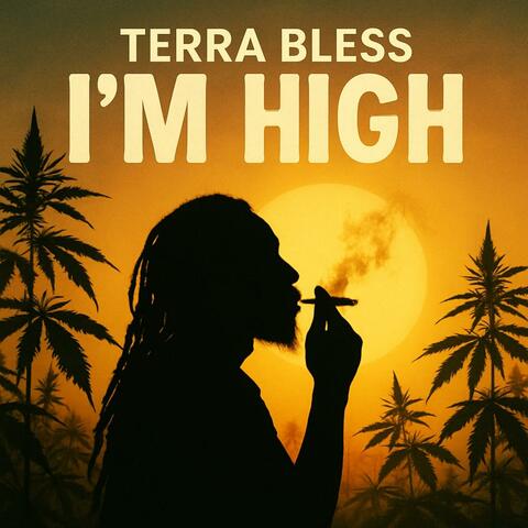 I'M HIGH album art