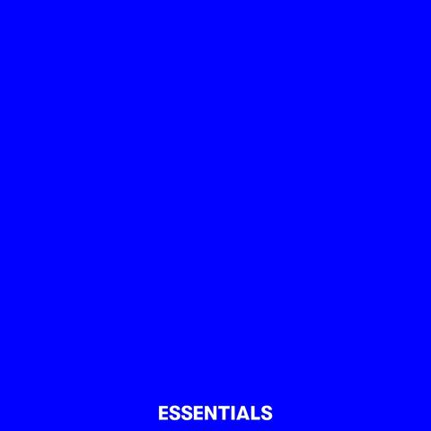 BANDCAMP ESSENTIALS TWO album art