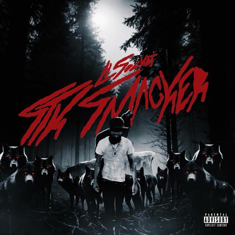 STK Smacker album art
