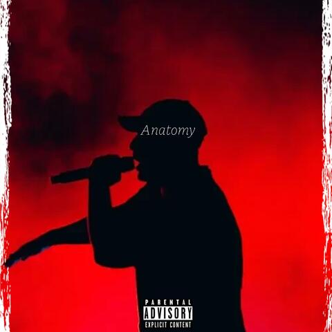 Anatomy album art