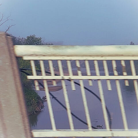 Crazy (I Think i'm Rotting Away) album art