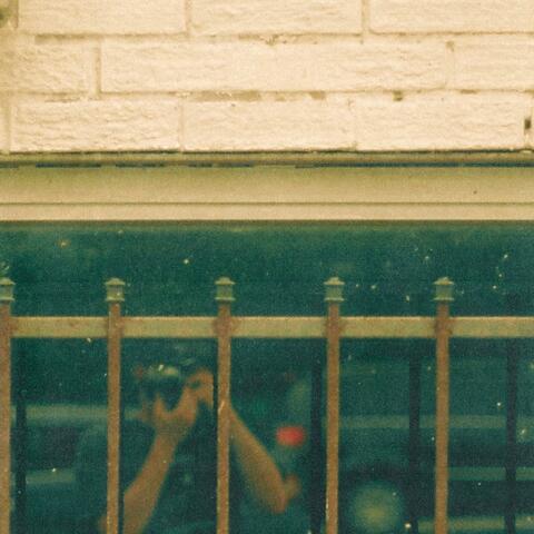 for the birds album art