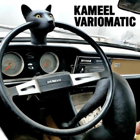 Variomatic album art