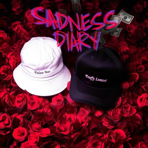 SADNESS DIARY album art