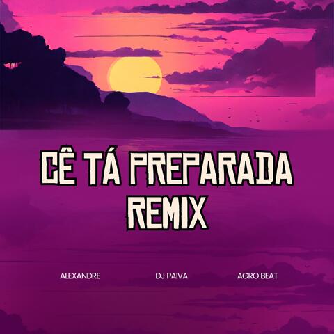 Cê Tá Preparada (Dj Paiva & Agro Beat Remix) album art
