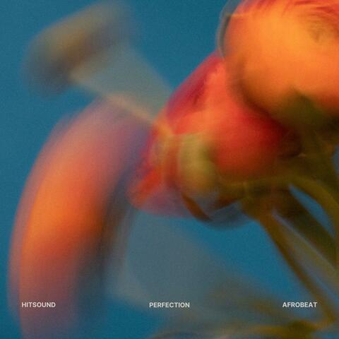 Perfection (Instrumental) album art