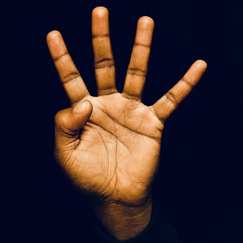Quis in 4 album art