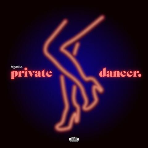 private dancer. album art