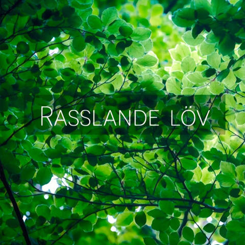 Rasslande löv album art