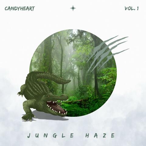Jungle Haze album art