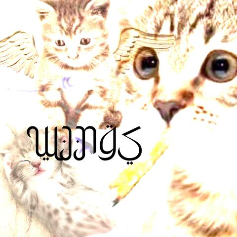WINGS album art