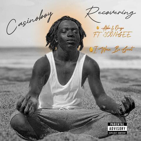 Recovering album art