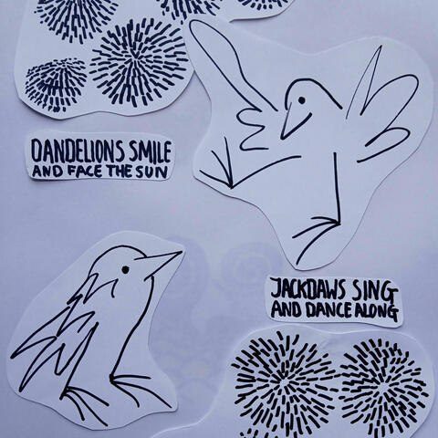 Two Jackdaws album art