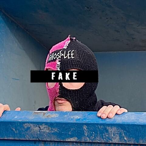 FAKE album art