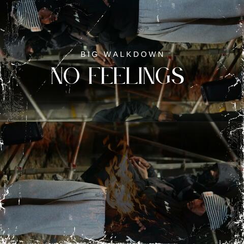 No Feelings album art