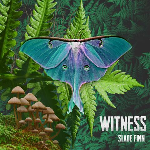 Witness album art