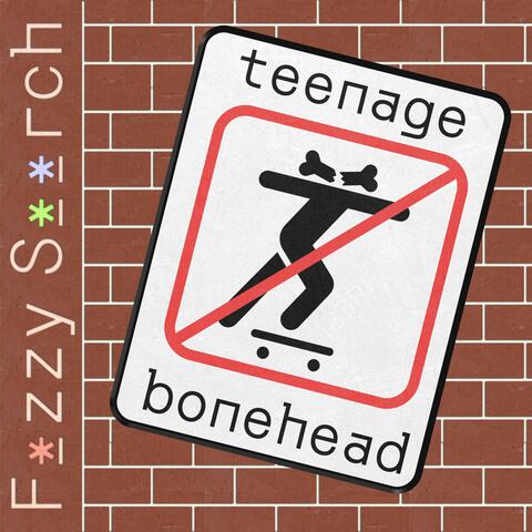 Teenage Bonehead album art