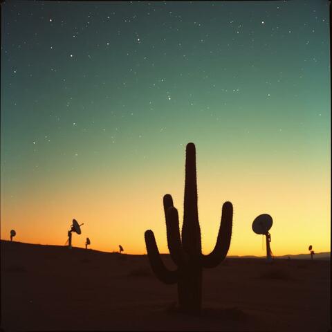 Arizona album art