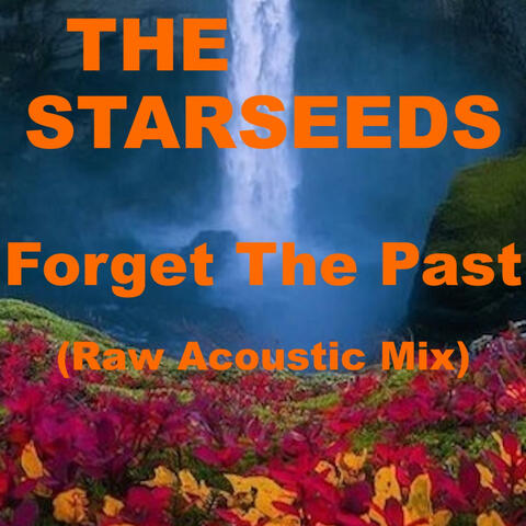 Forget The Past (Raw Acoustic Mix) album art