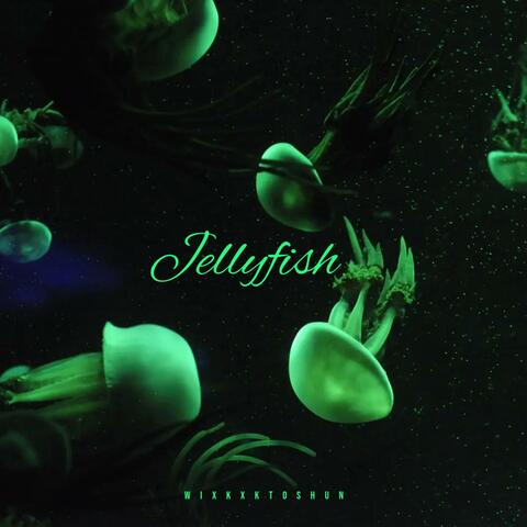 Jellyfish (feat. K.T.O.S.H.U.N) album art