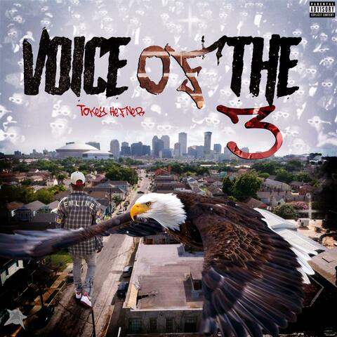 Voice Of The 3 album art