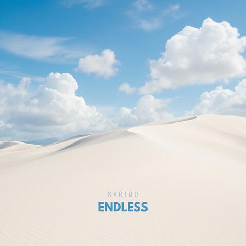 Endless album art