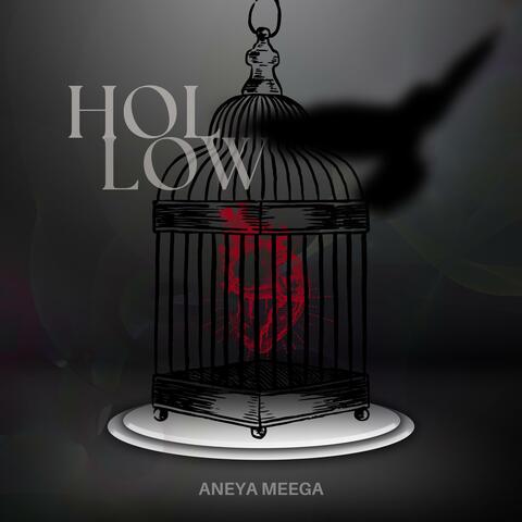 Hollow album art