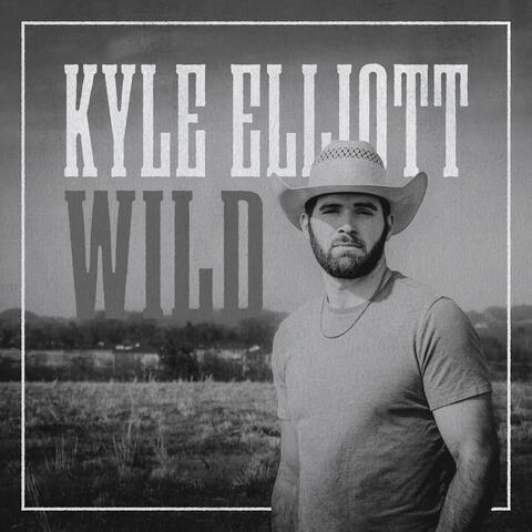 Wild album art